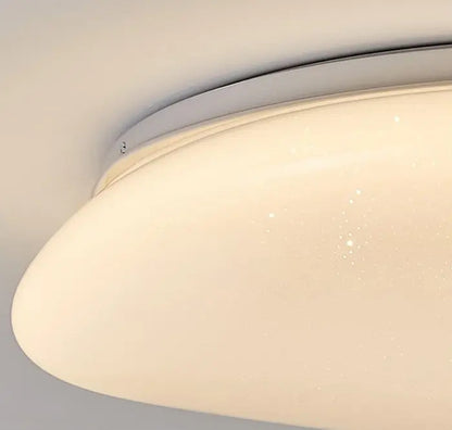 Pebble Shape Ceiling Light