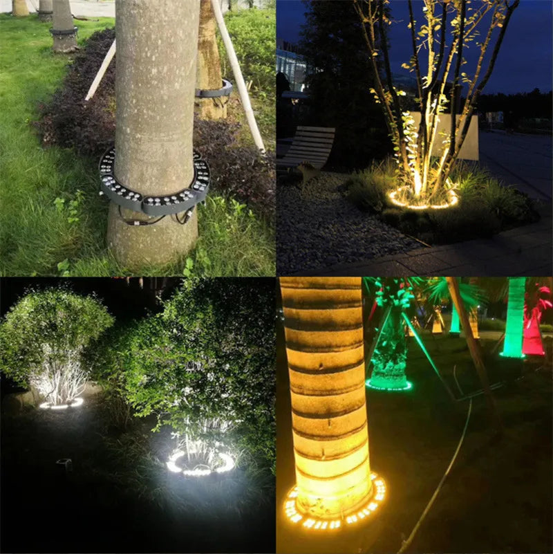 LED Tree Holding Hoop Light